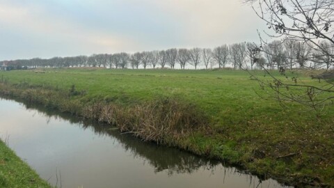 Afbeelding1
