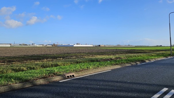 Afbeelding1